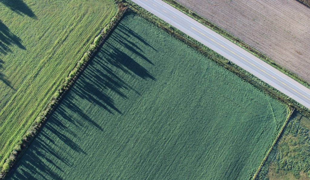 Ada parsel sorgulama işlemi nasıl yapılır?