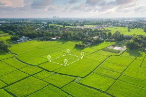 Hisseli Tapu Ne Demek?